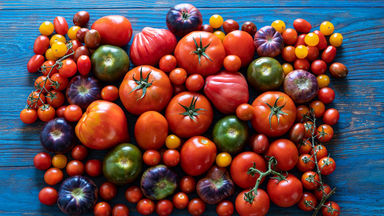 O que acontece se eu comer tomates todos os dias?